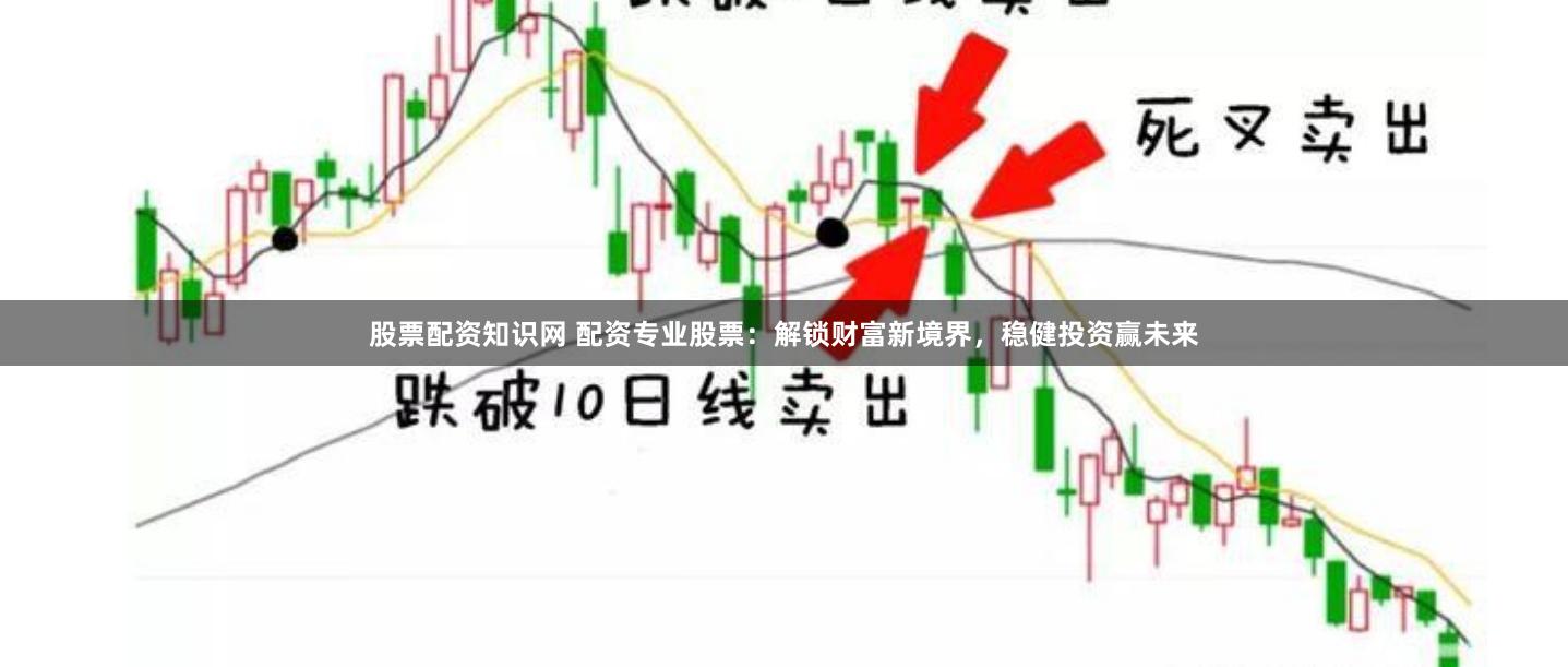 股票配资知识网 配资专业股票：解锁财富新境界，稳健投资赢未来
