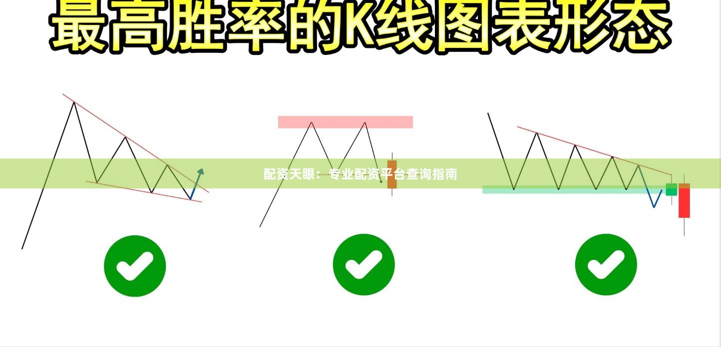 配资天眼：专业配资平台查询指南
